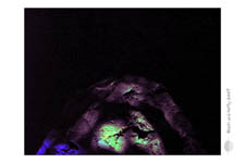 BeachAndParty-2007_0056