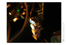 BeachAndParty-2008_0043