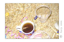 Party-2006_0107