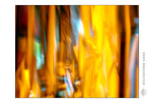 Silvester-2005-Bilder danach_0020