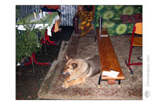 Silvesterparty-2007_0029